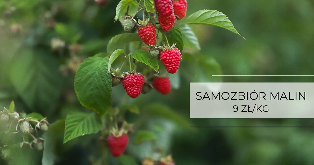 D6A2F981-D16D-4A6E-B412-D5B20D8E6879