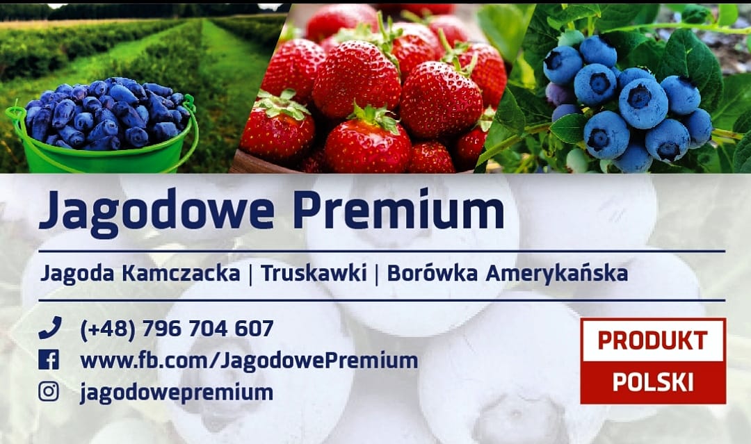 IMG_20210402_194743_463