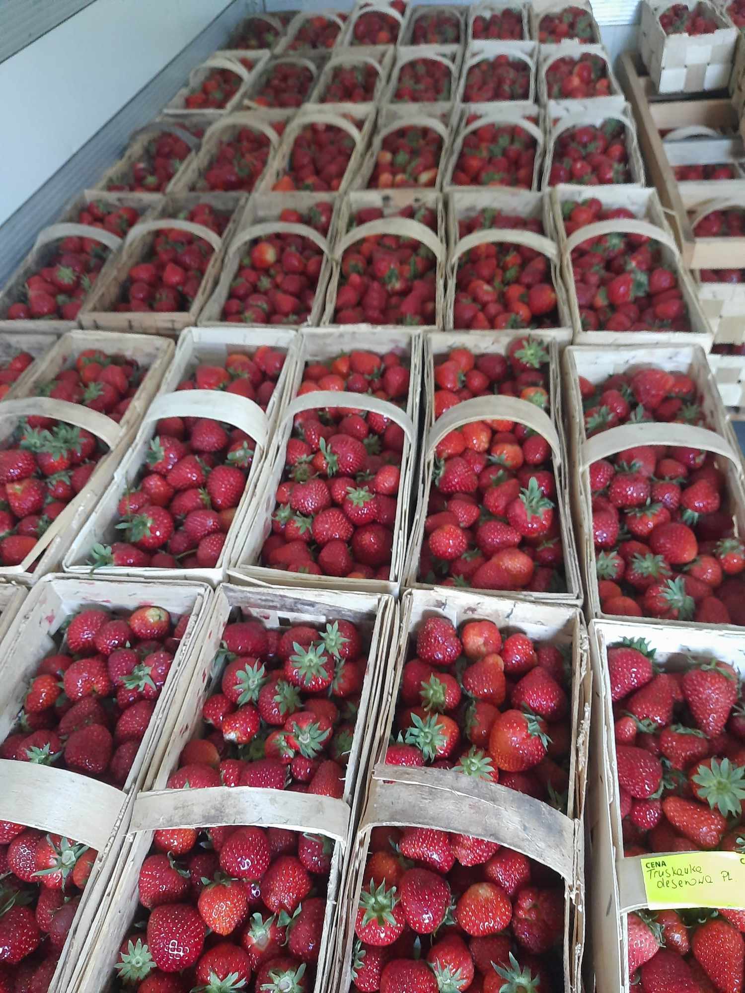 inbound6839217641734694790