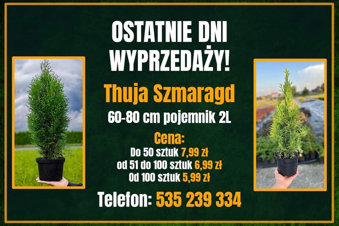 inbound8293736186681990502