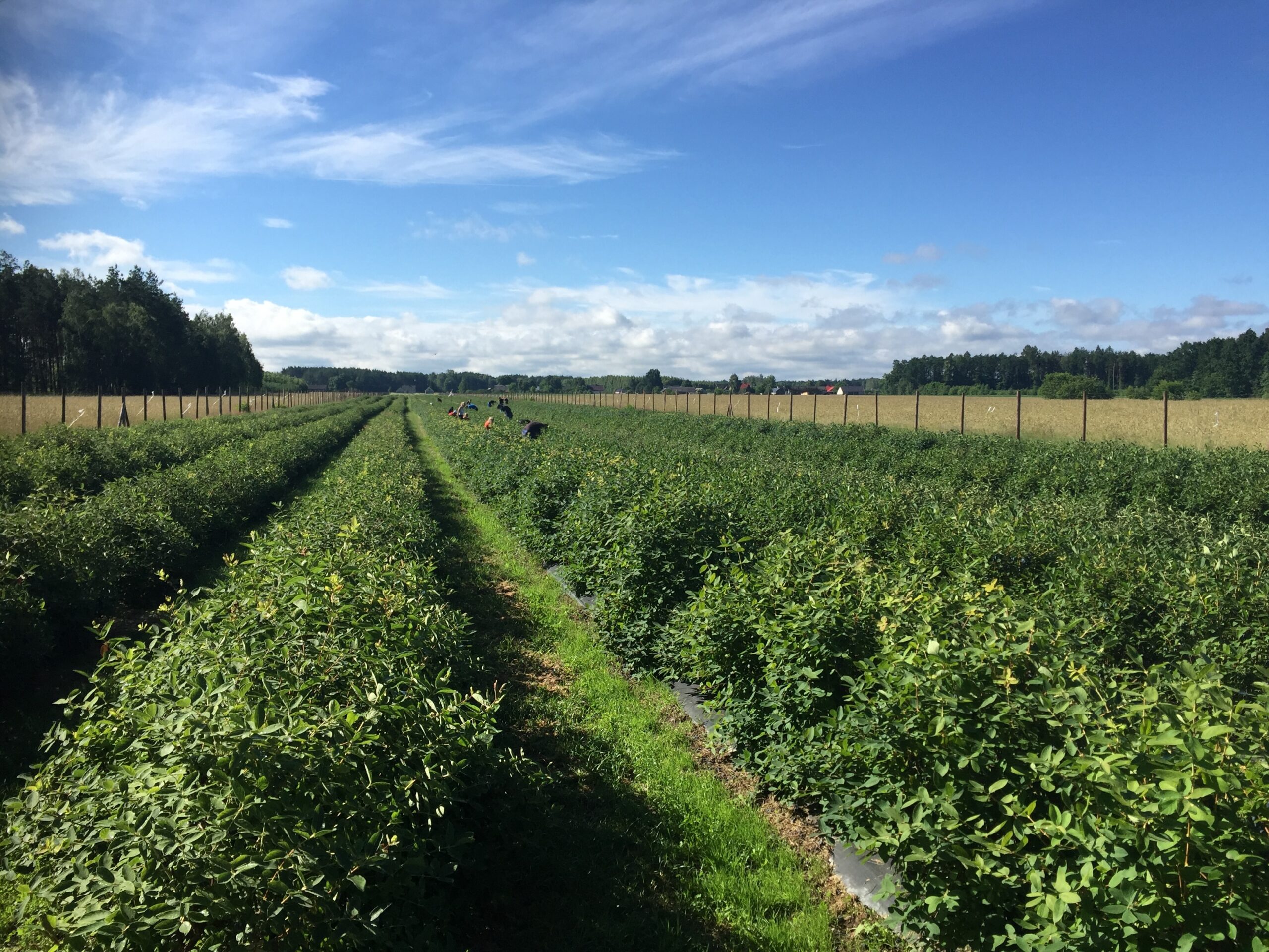 uuid7E04C77E-0563-4E54-A1E3-EB511EFB4C44library1type1mode1loctruecaptrue