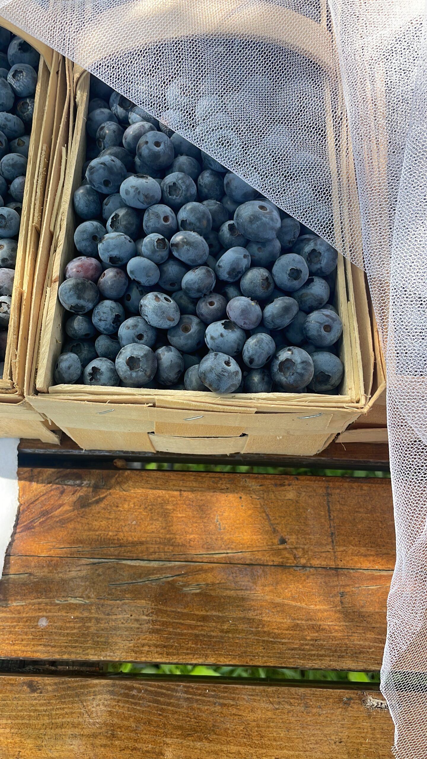 E6305FE5-9D1F-46D8-BF2A-00A4A5C6BCF4