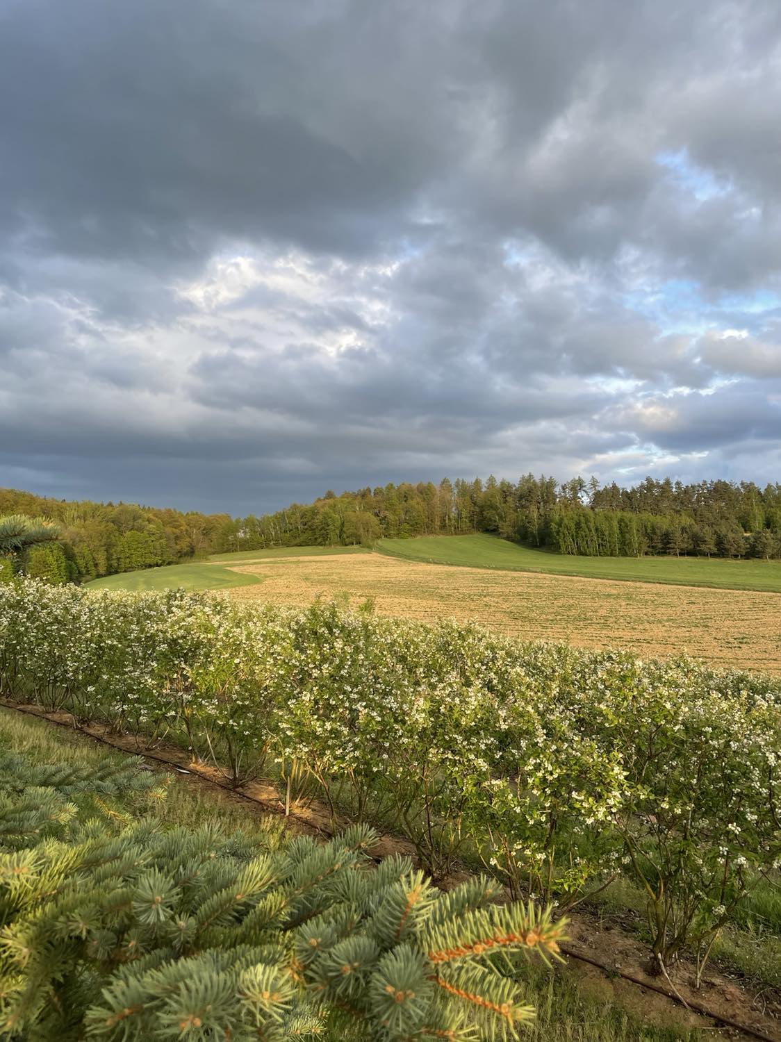 436678862_464869449438457_6359717277253908208_n