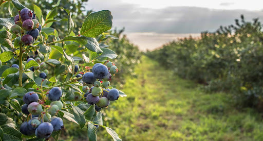 438146223_3037944966339640_5384258202343908598_n