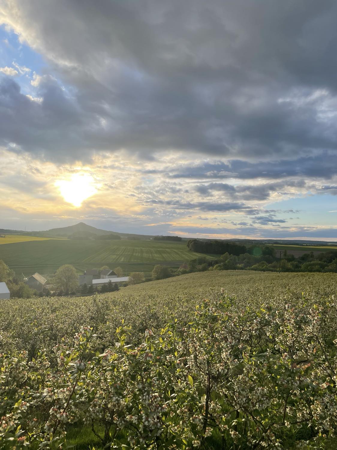 438162866_3037944983006305_2813879512405603433_n