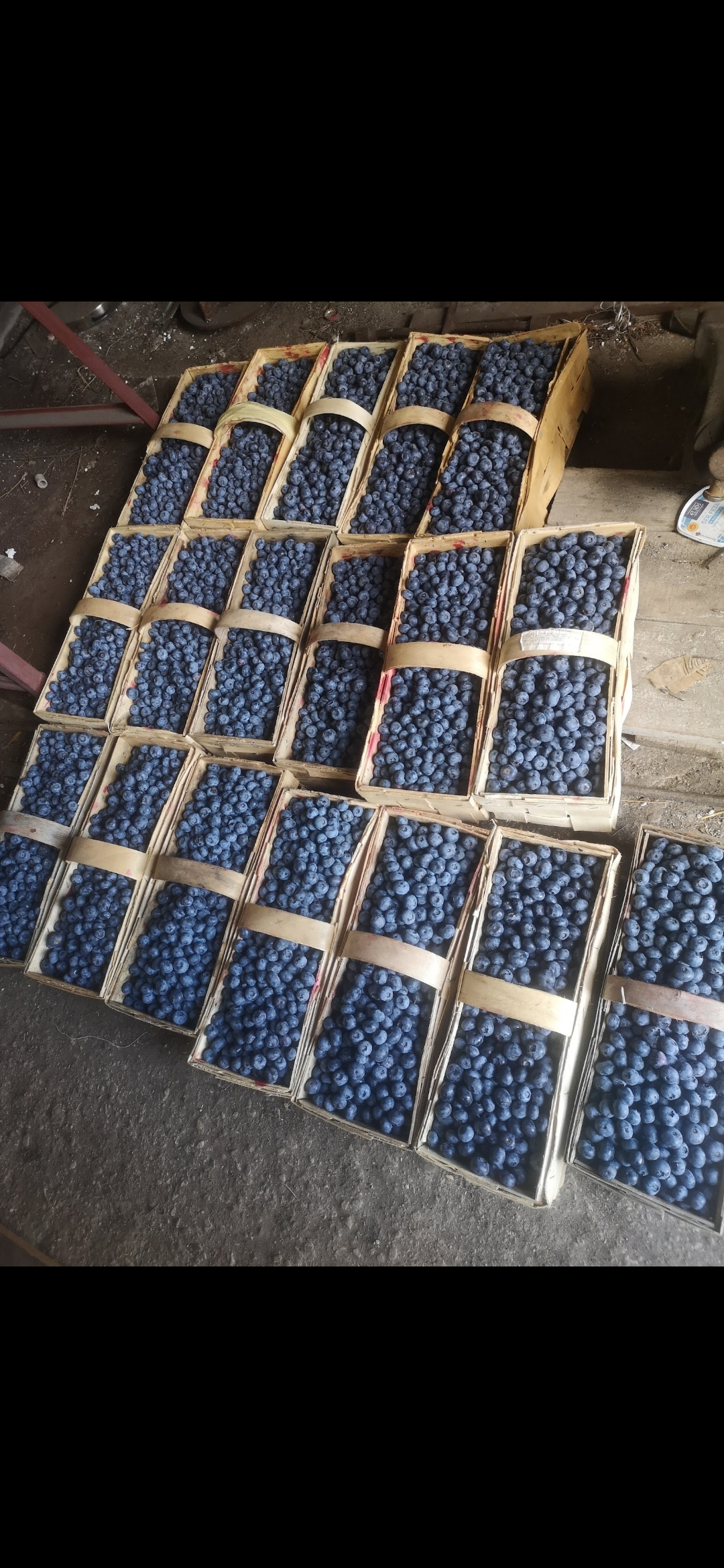 Screenshot_2024-07-07-21-08-59-066_comgoogleandroidapps_photos