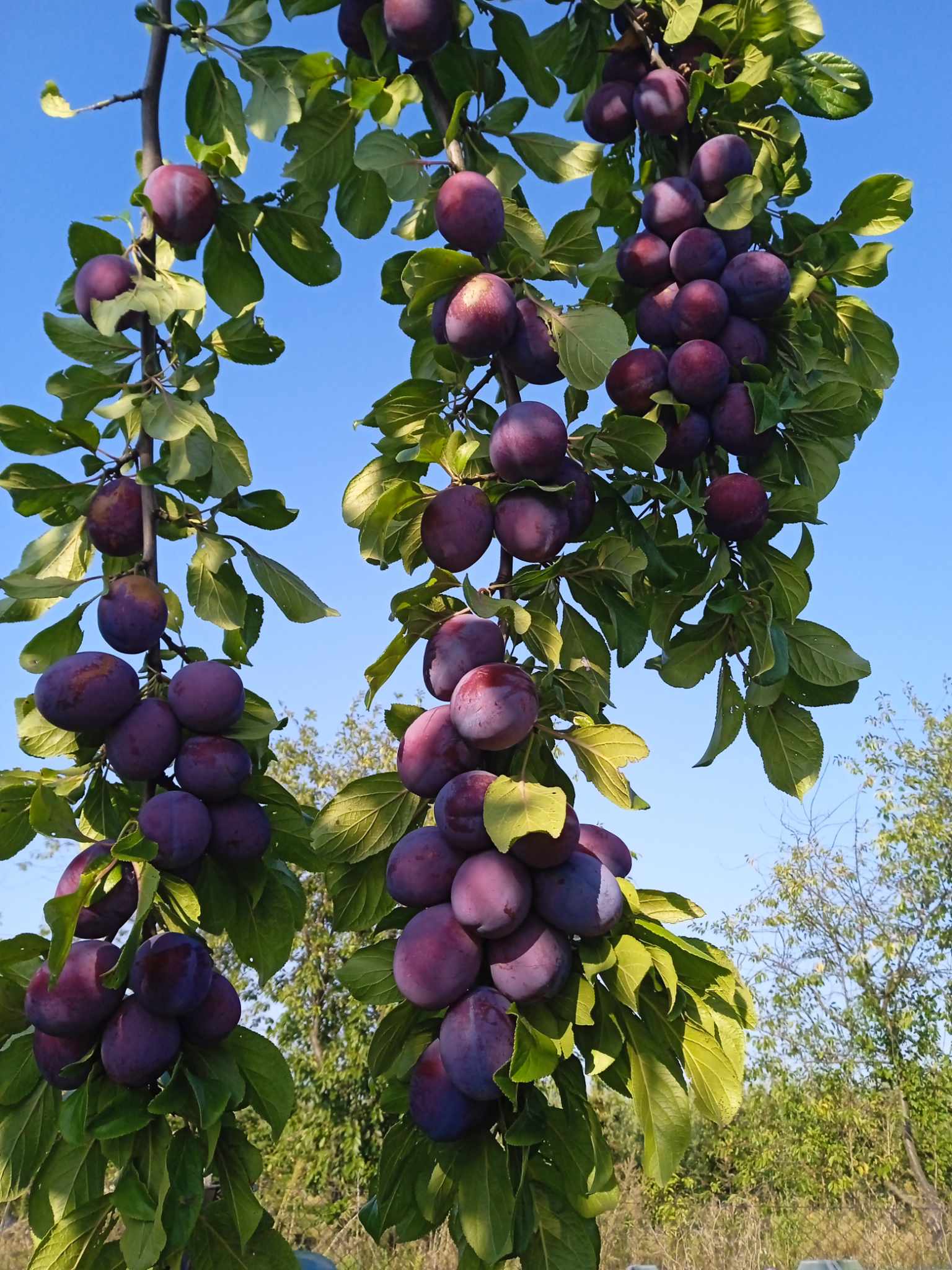 94f92ecc-849c-400f-8a94-1df9ef576805