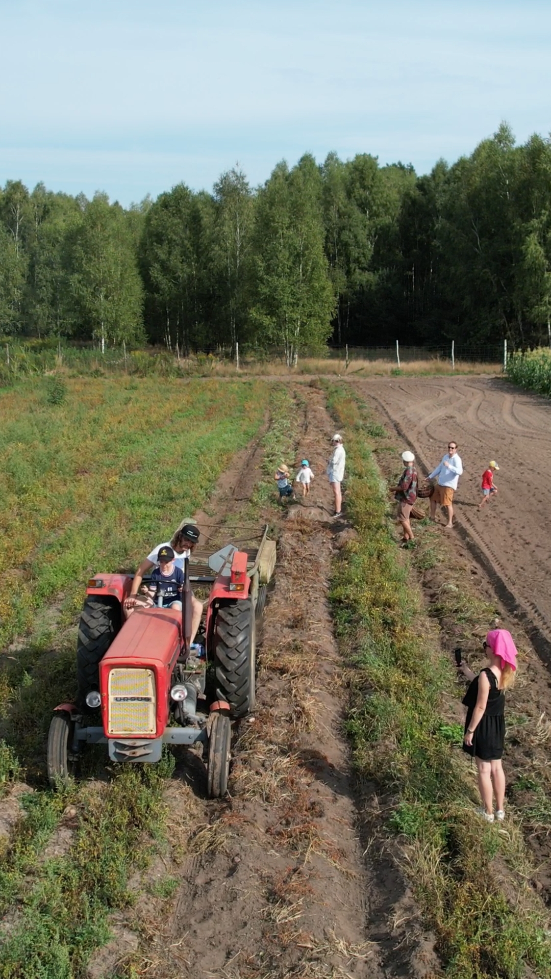 wykopki-widok-z-gory_121