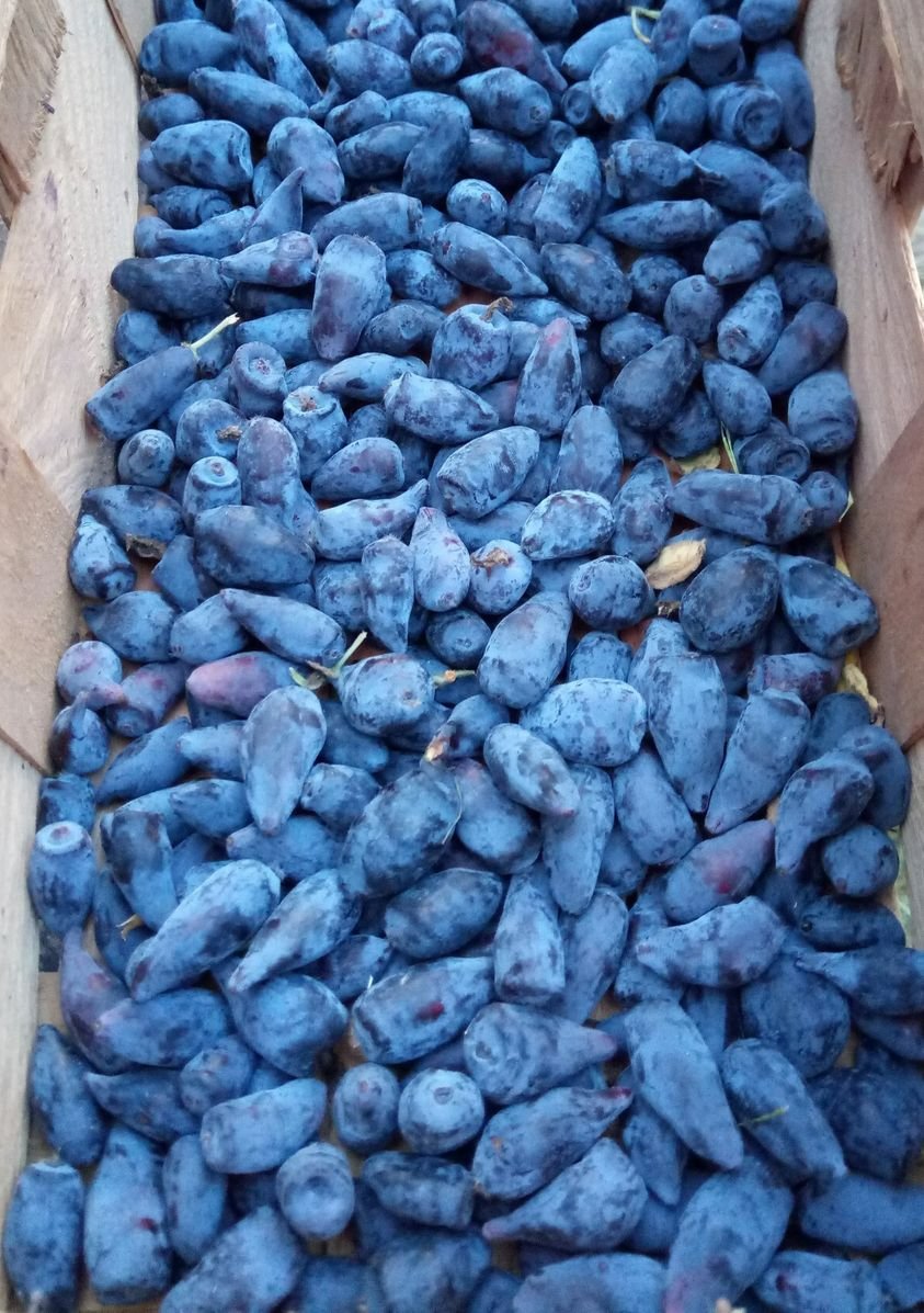 282253768_320946610217572_7318235290906359109_n-1