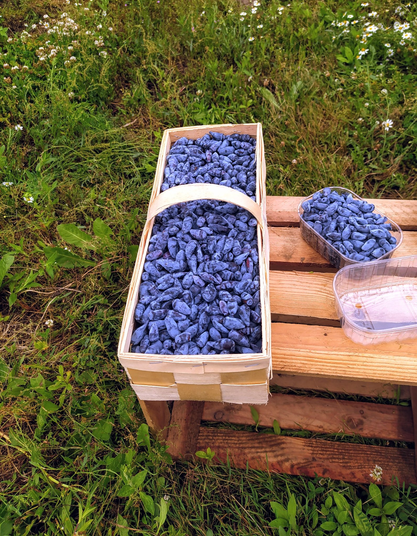 288072166_339107981734768_1379298255190404887_n-1