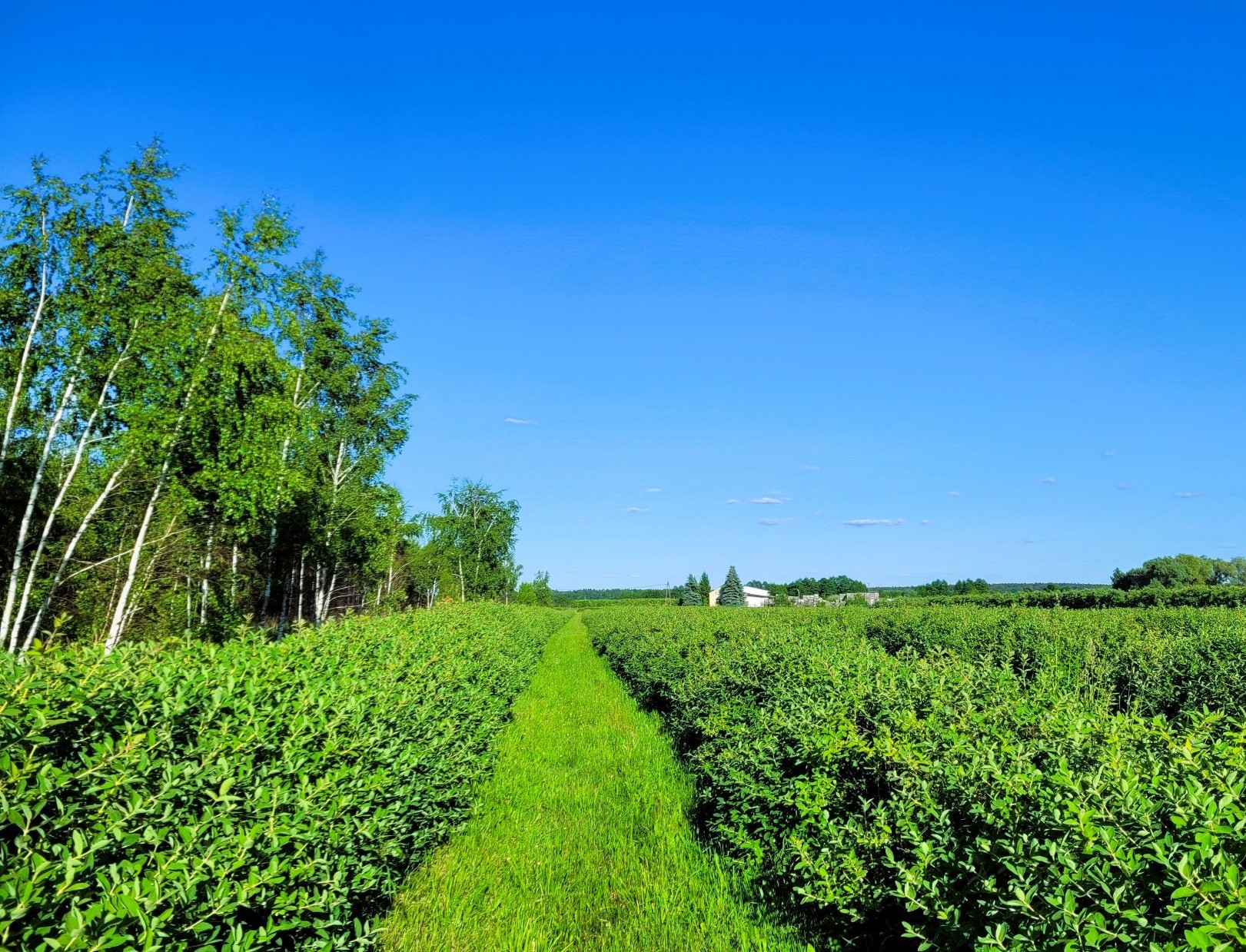 352381857_647750216852700_5801561662118722195_n-1