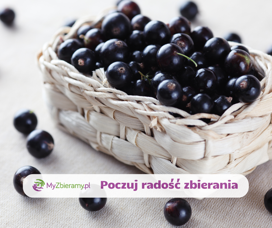 Kopia-–-test-Post-na-Facebooka-5