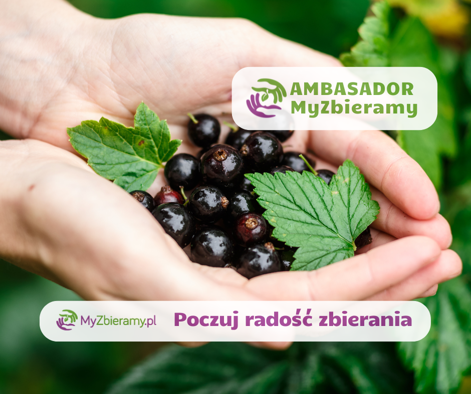 Kopia-–-test-Post-na-Facebooka-6