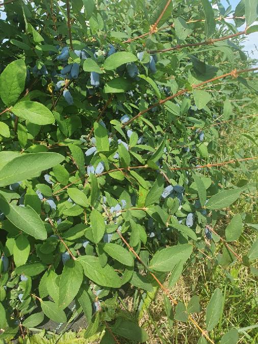 Resized_20210704_100314