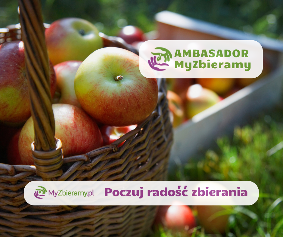 Kopia-–-test-Post-na-Facebooka-12