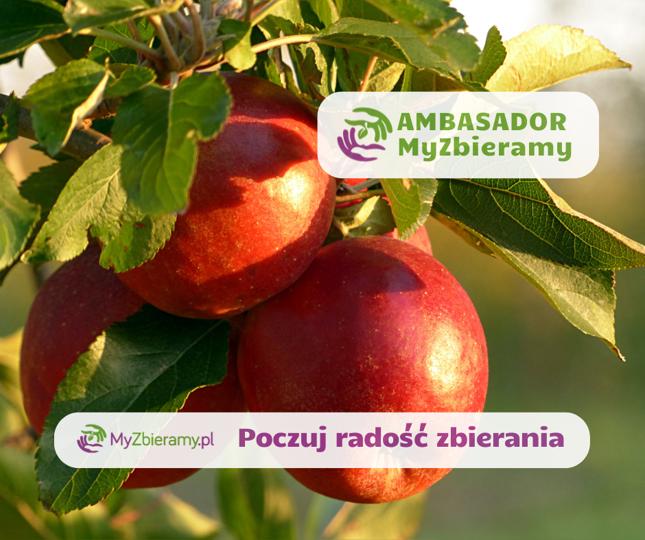 Kopia-–-test-Post-na-Facebooka-13