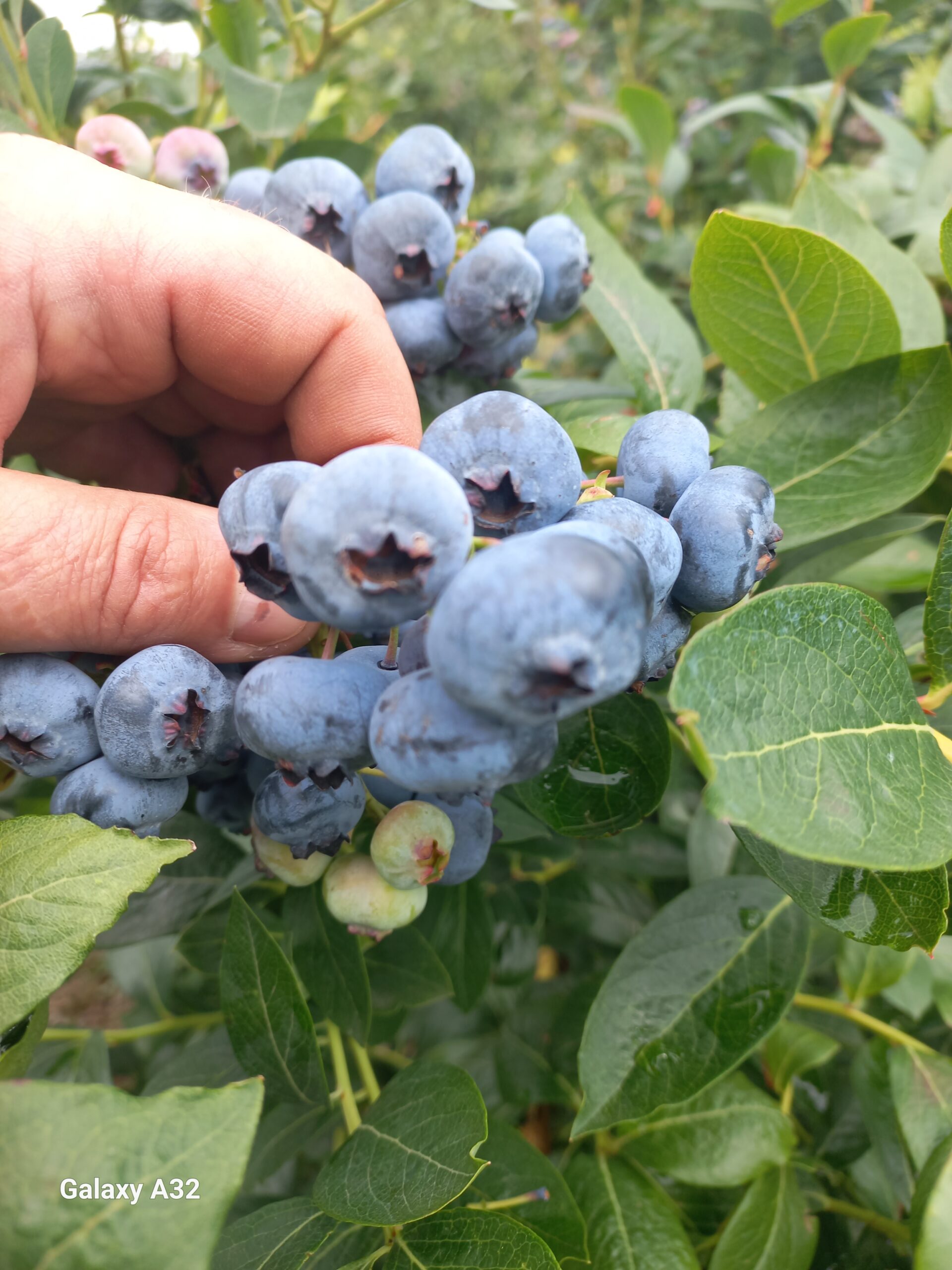 inbound6475130675153459419