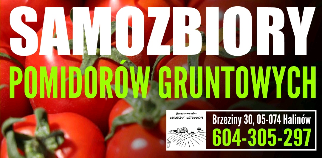 inbound7489220010027295577