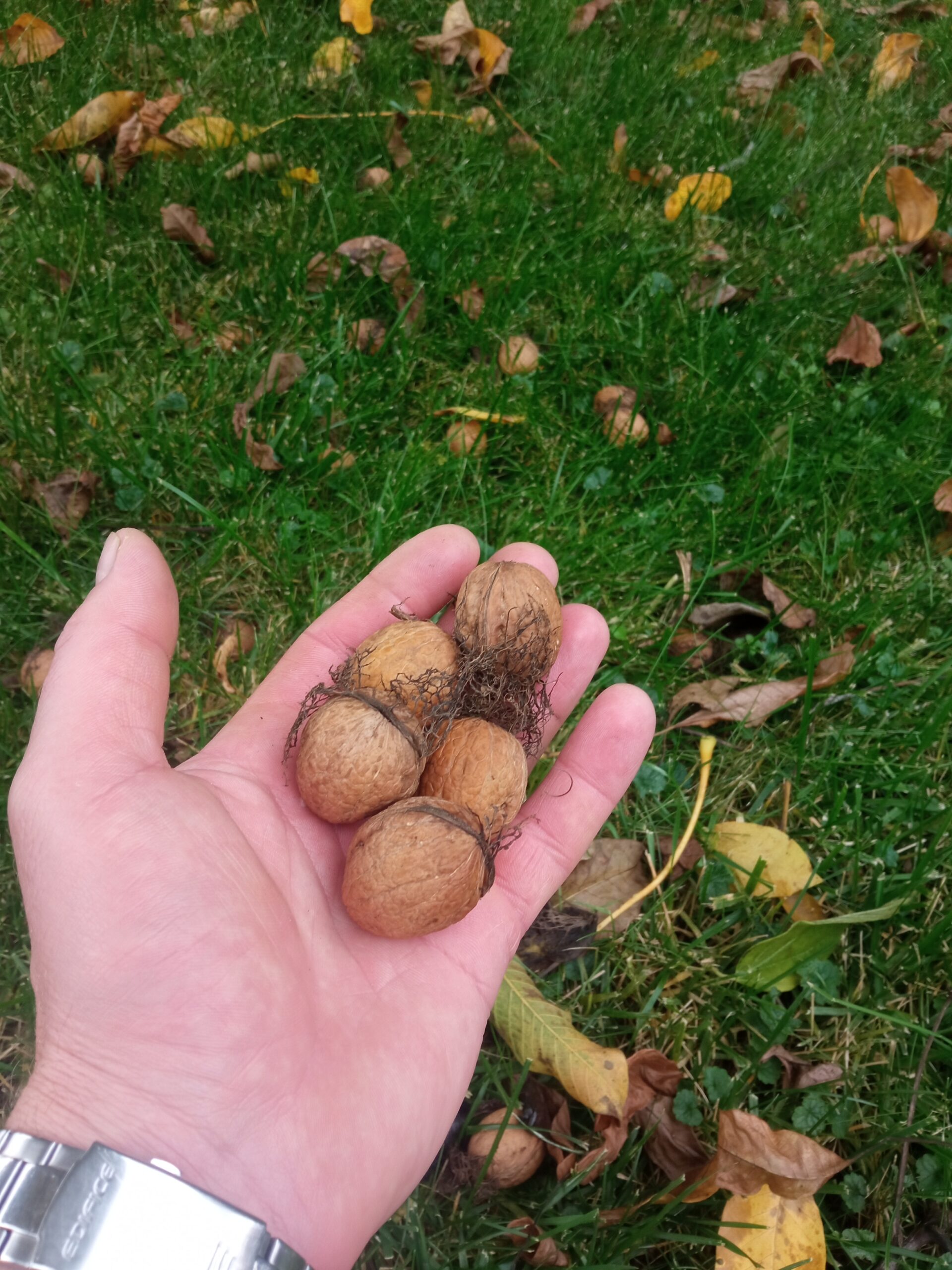 17602562617439118943757670000076