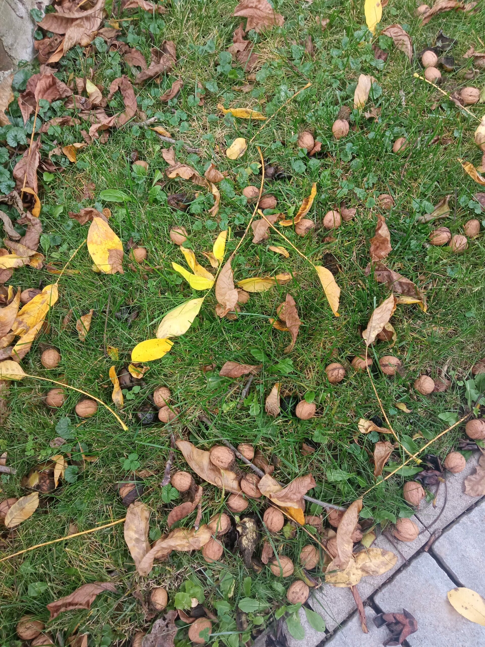 17602563859079204063214488746458