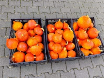 23f7dd36-b0f0-4c49-a8e1-e000919f4abb