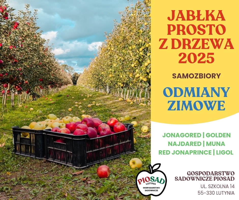 558731018_1543716050490842_4637451105941455245_n