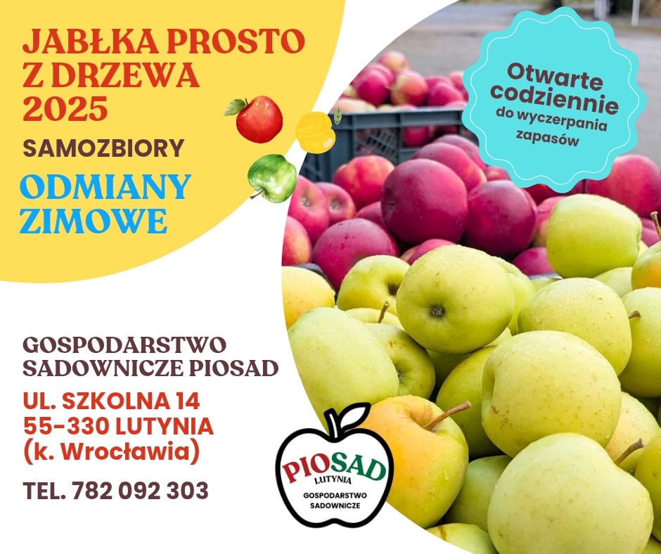 561344052_1550797419782705_4700766540267081944_n