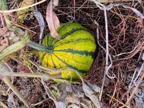 64964deb-a306-4678-a4f2-869557783cc7