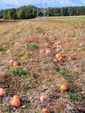 735f42e7-6de5-4ea9-9671-3269cc53203c