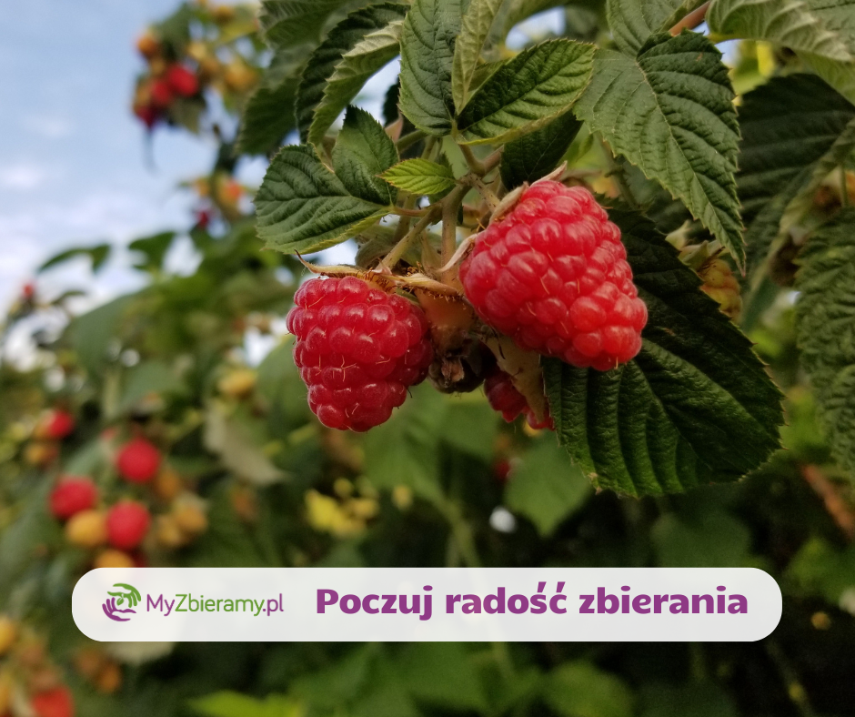 Kopia-–-test-Post-na-Facebooka-15