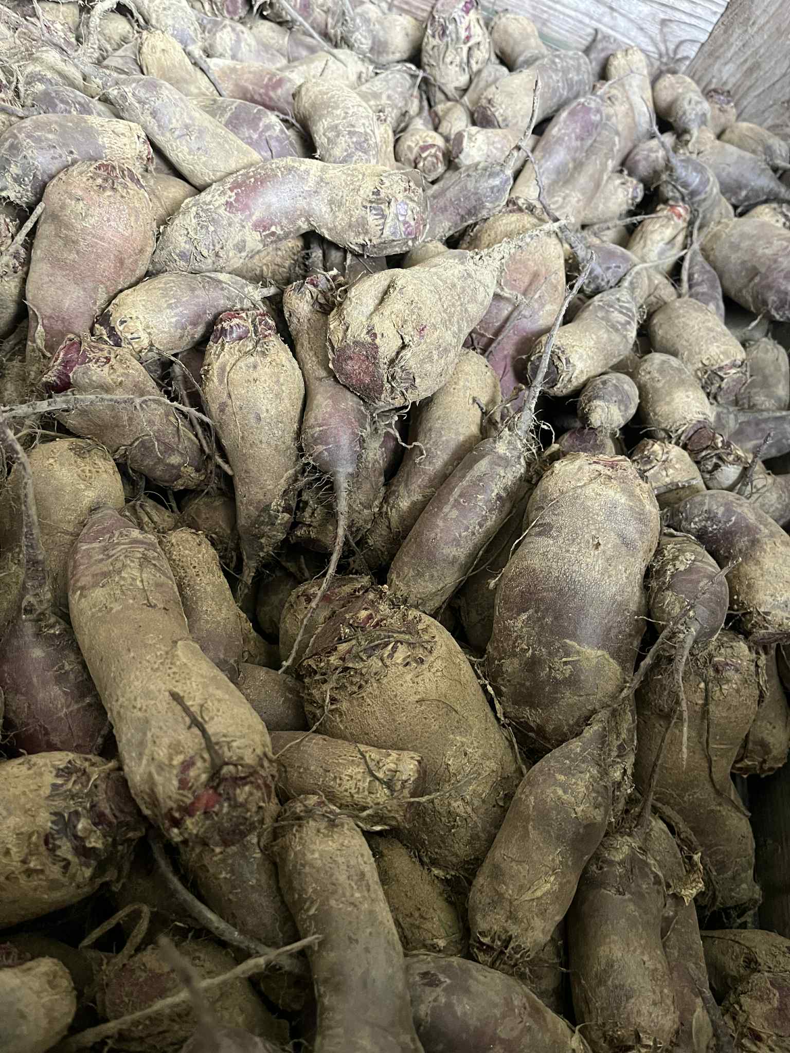 att.dbnIUpaHuB_i9B_BmEi8rCe2GcXbArzXLoS7XGdCpTE