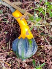 b9626643-568e-4314-948d-50b0b5caa60f