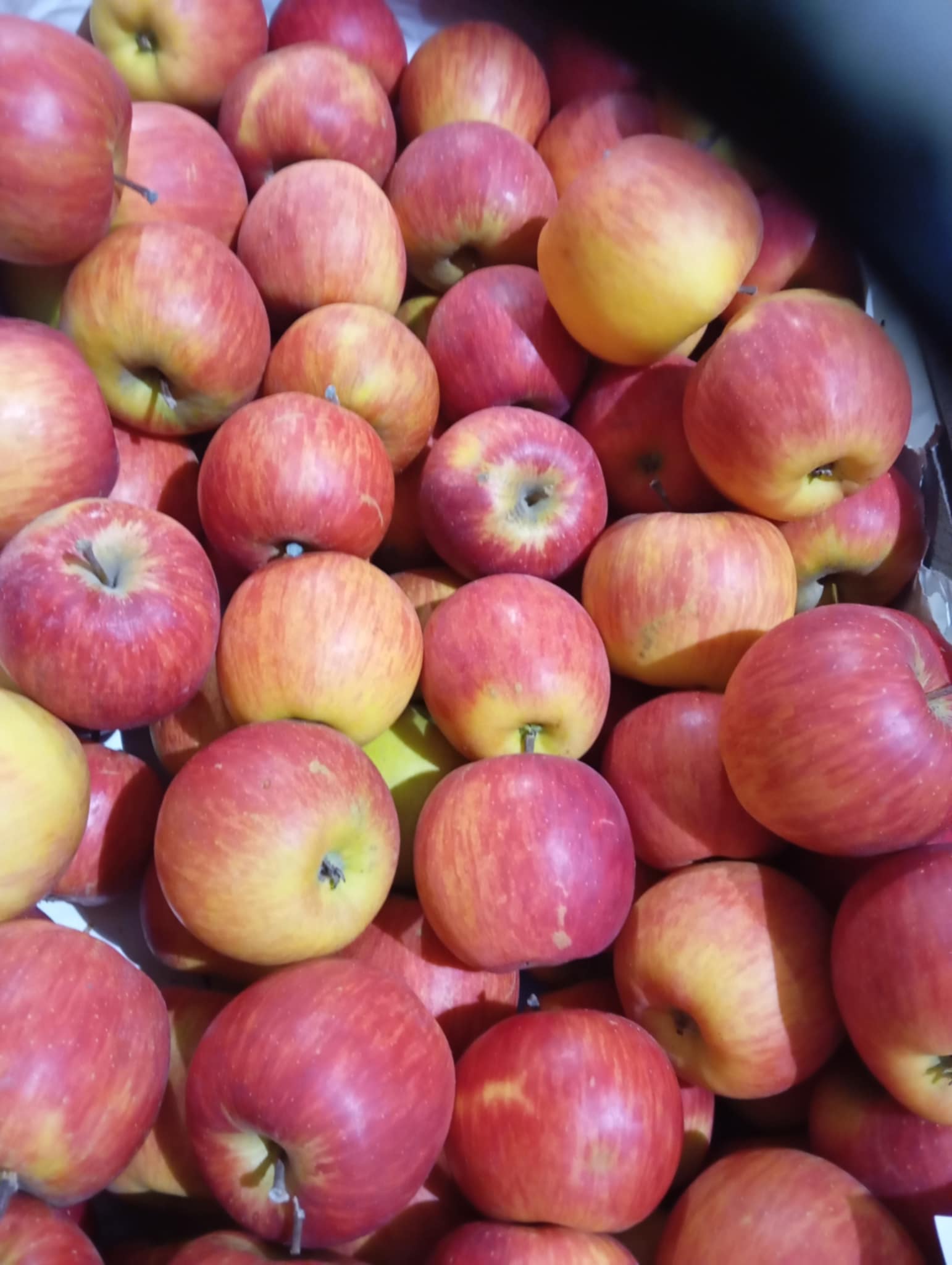 0e0f0dce-2d66-416a-a860-535cac585763