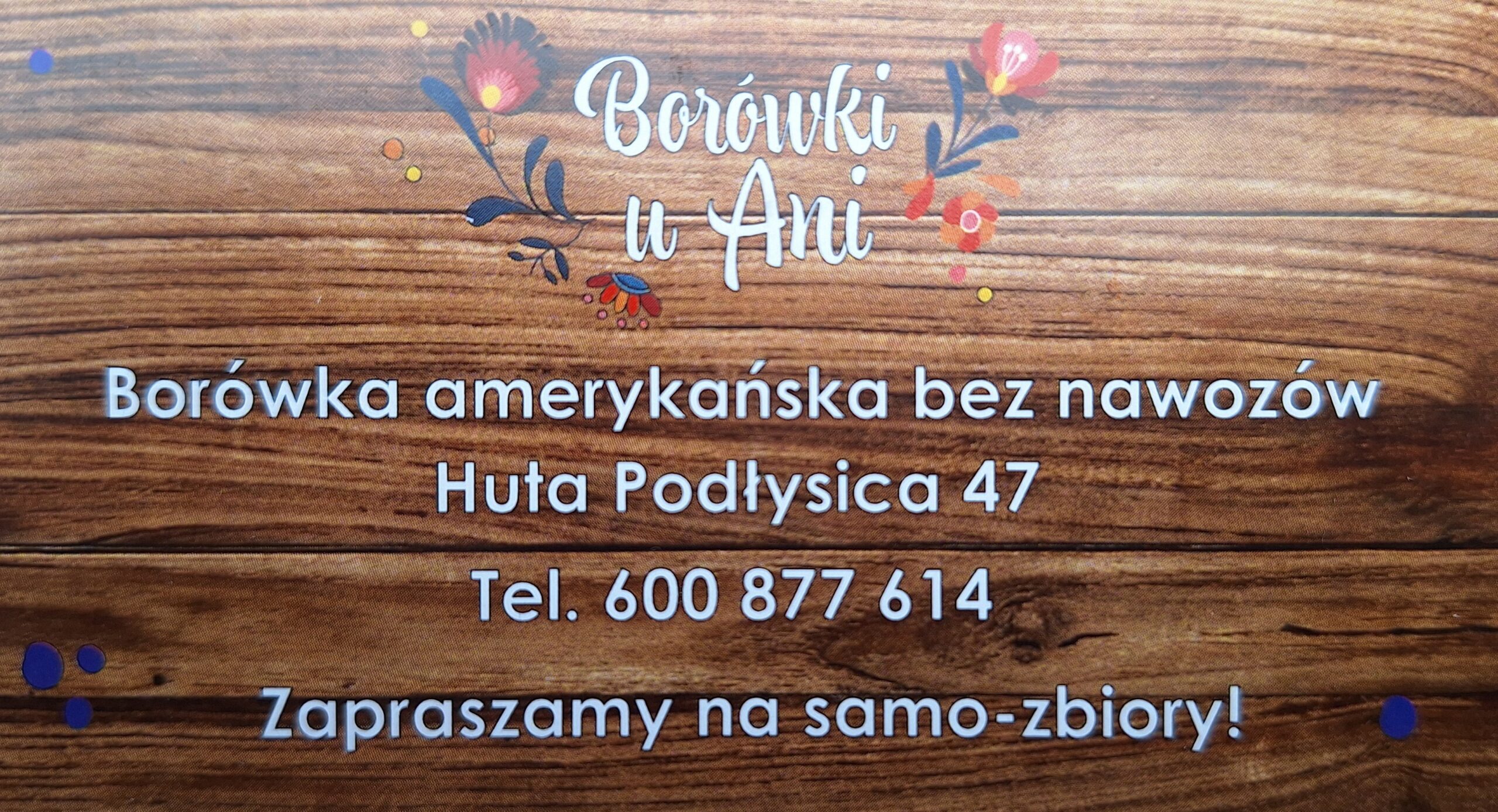 foto-do-ogloszenia